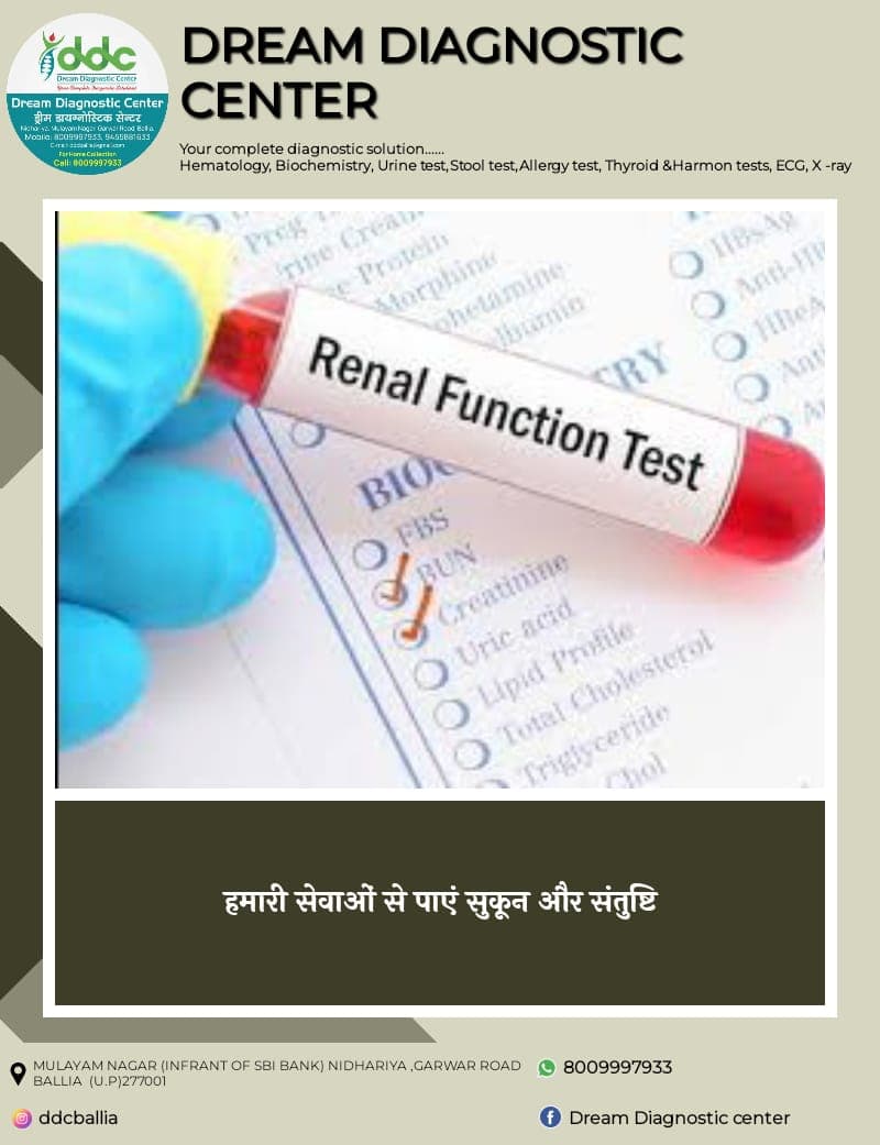 Renal Function Test